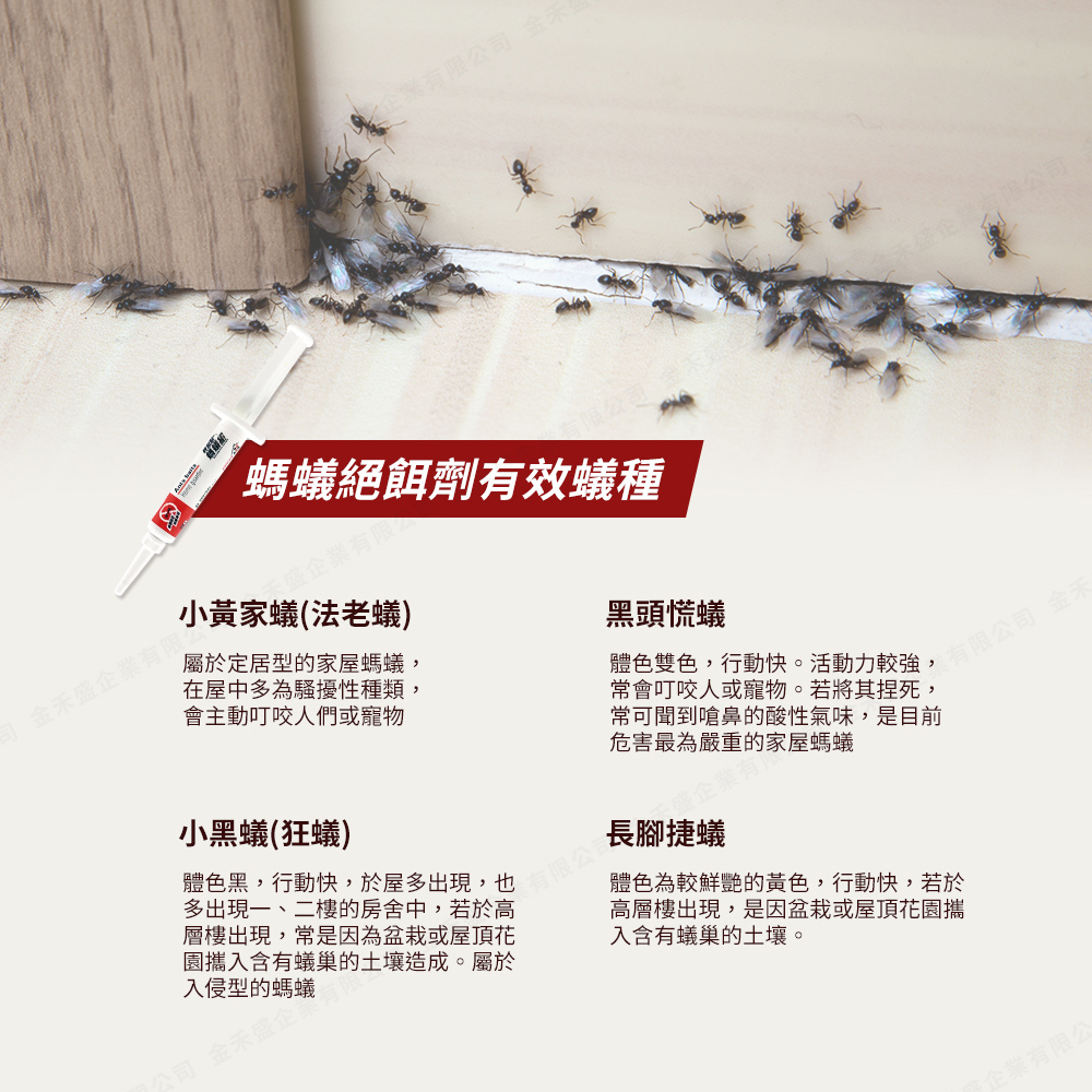 企業有限公司 金，金禾盛企業有限，螞蟻絕餌劑有效蟻種，天盛企業有限公，小黃家蟻(法老蟻)，屬於定居型的家屋螞蟻,在屋中多為騷擾性種類,會主動叮咬人們或寵物，小黑蟻(狂蟻)，黑頭慌蟻，體色雙色,行動快。活動力較強,司 金，常會叮咬人或寵物。若將其捏死,