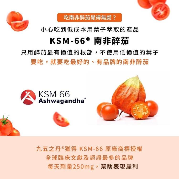 【九五之丹】 南非醉茄 + 葫蘆巴 (30粒/包)