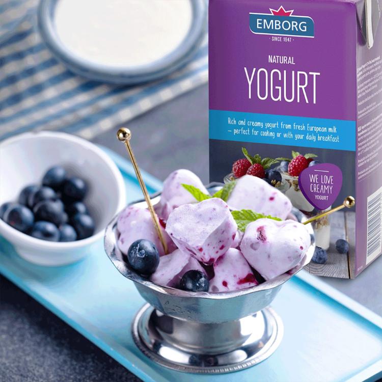 【EMBORG安博格】原味優格 1000ml 效期20250814