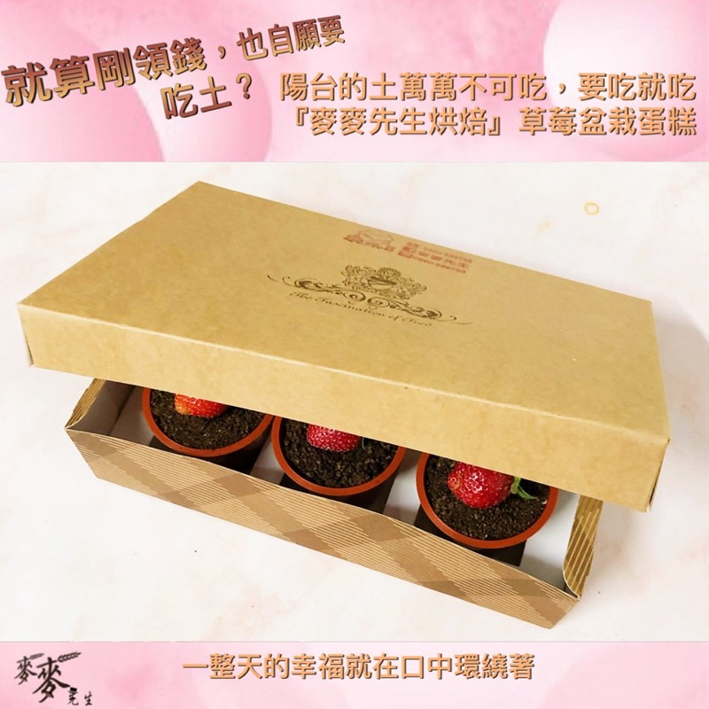 就算剛領錢,也自願要，吃土?陽台的土萬萬不可吃,要吃就吃，麥麥先生烘焙草莓盆栽蛋糕，一整天的幸福就在口中環繞著。