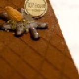 洋公館 私房生巧克力蛋糕(榛果巴芮) 把獨家的體貼 偷偷的傳遞～ just for man