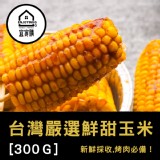 【宜家購團購美食】烤肉必備 台灣嚴選 現採 鮮甜烤玉米 大玉米 甜玉米