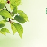 芃緹雅保養組優惠體驗價150元 ※(每人限購1份)