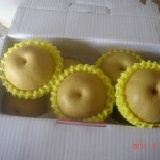 寄接梨10A5斤裝 水梨8兩-9兩單果重量.有產銷履歷驗證豐水梨+2次套袋3層防護完全隔絕防治藥劑的安心+健康水梨