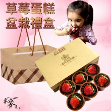 [大合購] 麥麥先生 ❖ 超卡哇伊草莓蛋糕盆栽禮盒