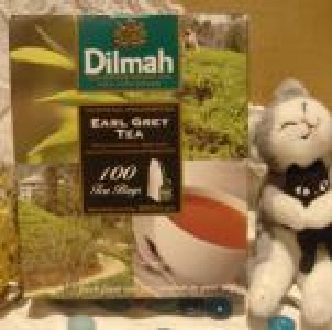 Dilmah帝瑪-經典伯爵茶 (100入)