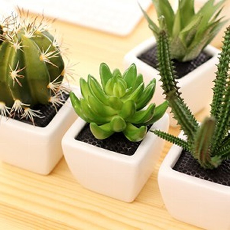 仿真植物室內香氛組合（仿真盆裁+精油20ml）海洋&虎皮蘆薈