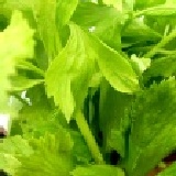 胡媽媽美味養生醜丸(芹菜丸) 特選純虱目魚配上芹菜作成的健康醜丸