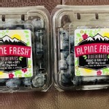 進口藍莓 一組兩盒