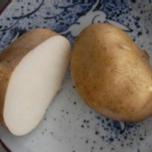 胡媽媽美味醜丸(豆薯虱目魚丸)