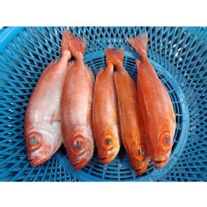 野生紅目鰱 5尾一包 580g