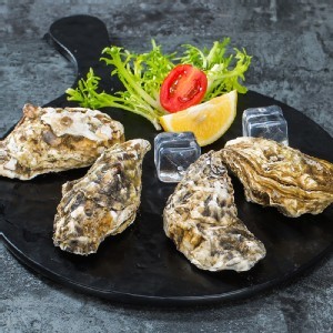 日本生食級牛奶生蠔