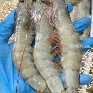 巨無霸大白蝦21/25規格 600g