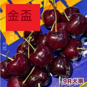 9R金盃櫻桃空運 1KG