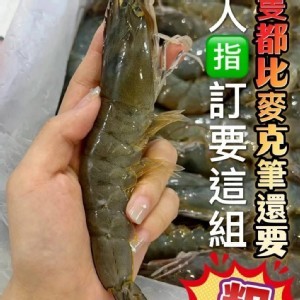 活凍大白蝦600g（大規格2/3）2盒