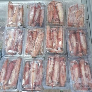 台灣野生船凍生大卷一排 (約4-5尾)