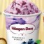 哈根達斯藍莓100ml