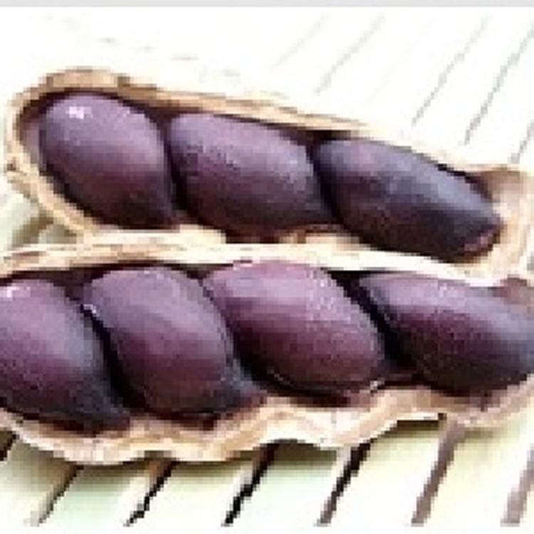 黑金剛花生(黑)