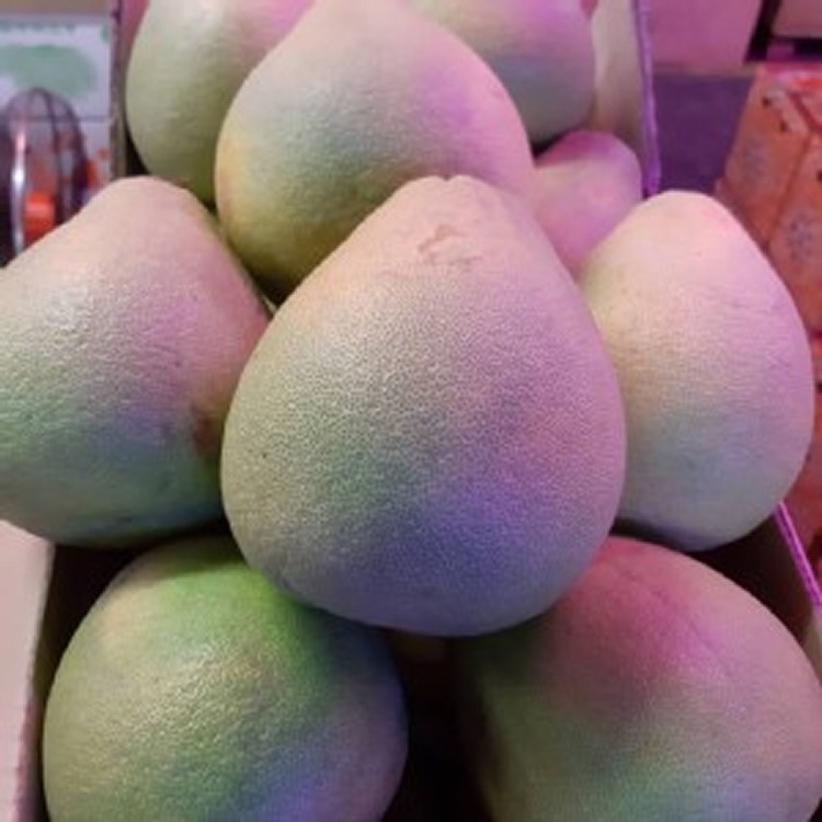 麻豆文旦 一箱10斤