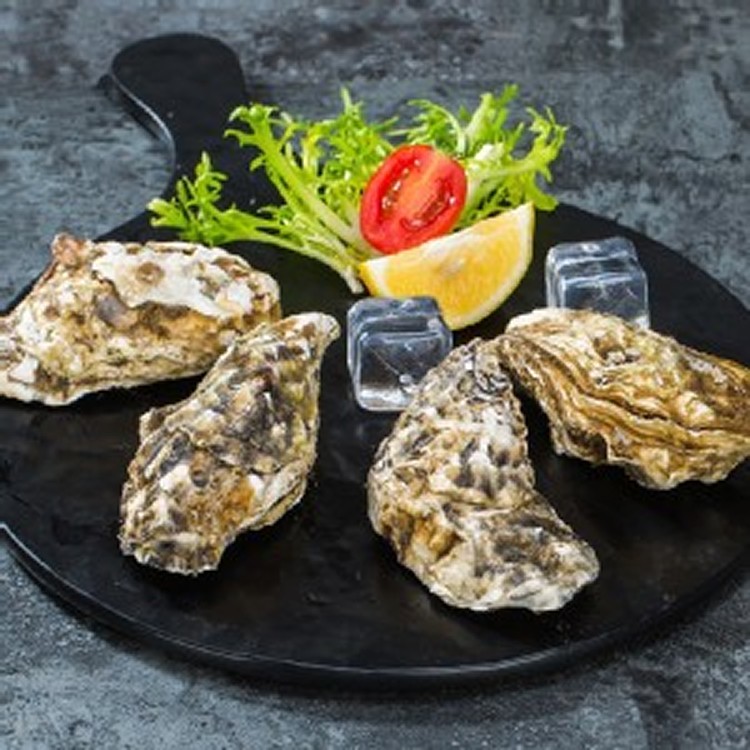 日本生食級牛奶生蠔