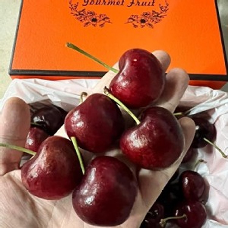 智利空運巨無霸4J大顆32-34mm以上櫻桃1000克禮盒+手提袋