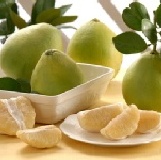 台南麻旦 30年老欉特級文旦(10斤) D-1。免運費。家長交誼廳成員另有優惠。 特價：$799