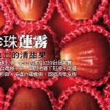 黑珍珠蓮霧 3A級黑珍珠 (盒裝) 5斤 單顆重量約95~105g