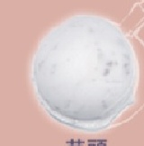 芋頭冰 盒裝(一盒約一斤600克) 含運