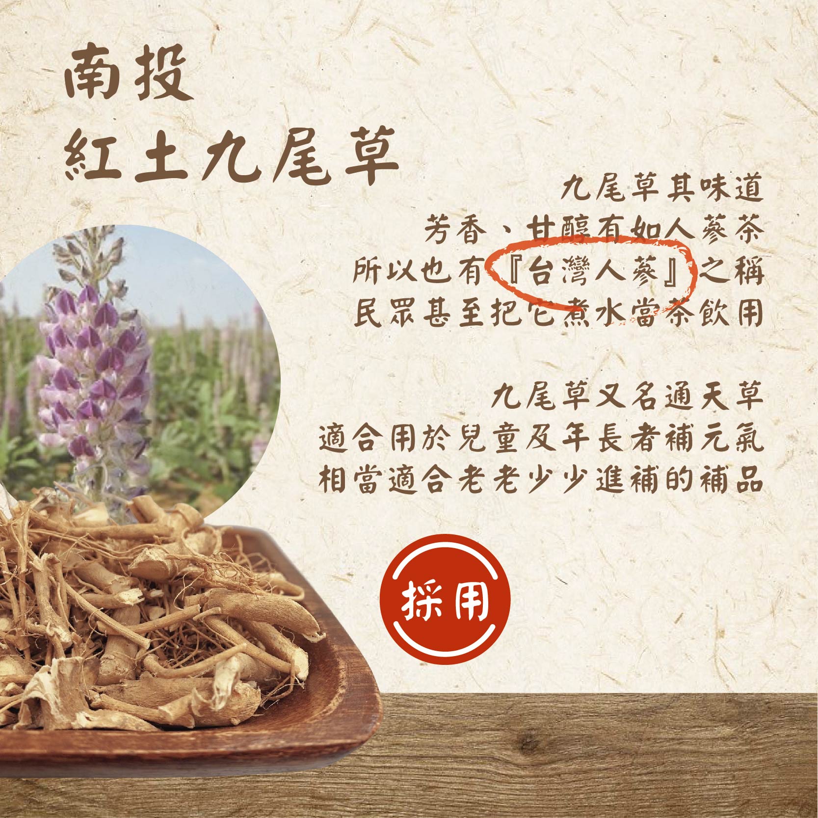 紅土九尾草，九尾草其味道，芳香、甘醇有如人蔘茶，所以也有台灣人蔘之稱，民眾甚至把它煮水當茶飲用，九尾草又名通天草，適合用於兒童及年長者補元氣，相當適合老老少少進補的補品。