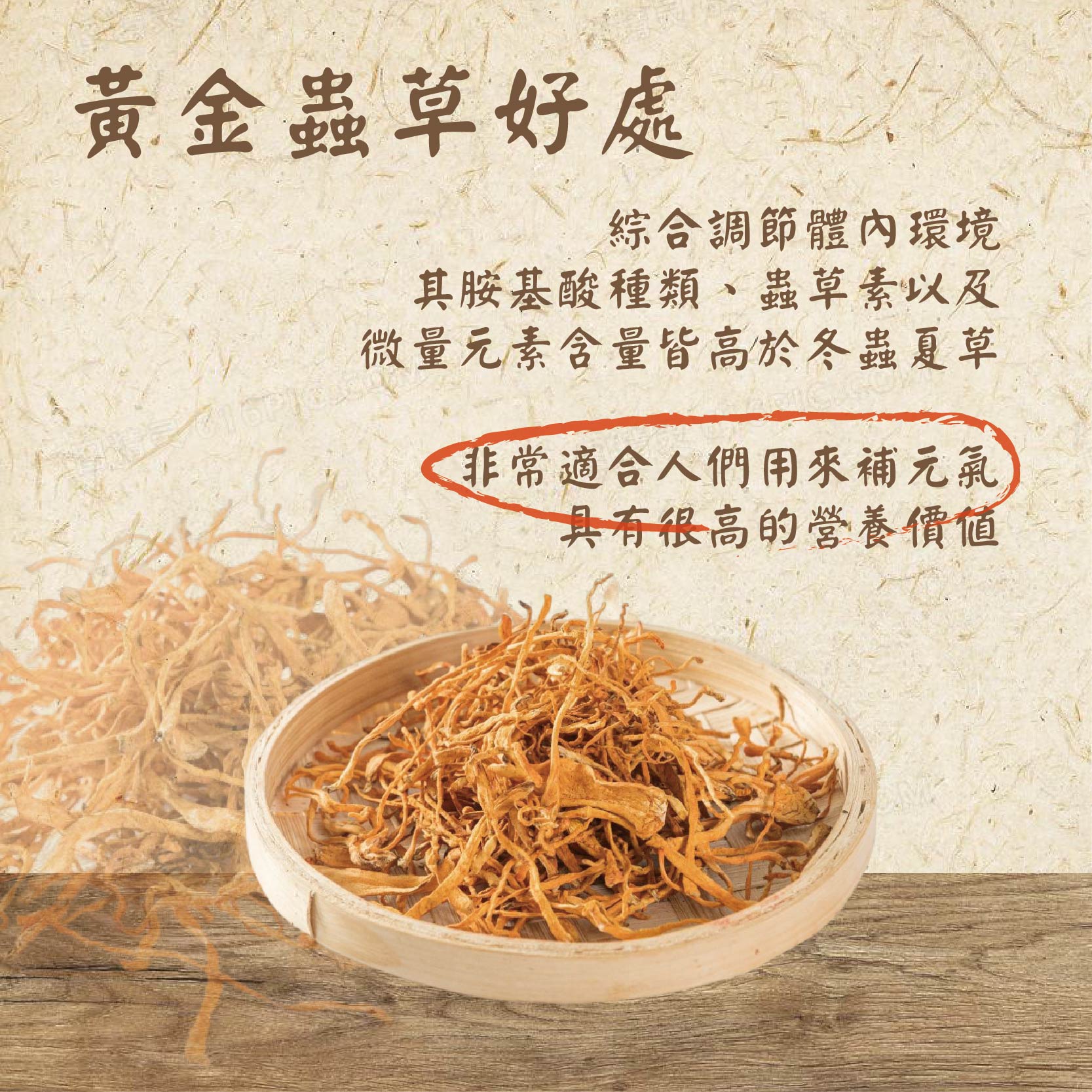 黃金蟲草好處，綜合調節體內環境，其胺基酸種類、蟲草素以及，微量元素含量皆高於冬蟲夏草，非常適合人們用來補元氣，具有很高的營養價值。