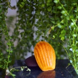 香草瑪德蓮 特價：$18