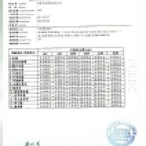 焦糖類糖漿