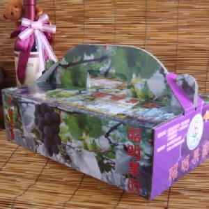 吉園圃安全葡萄--275元(含運) 每箱內有4包(含箱重)4.5台斤 特價：$275