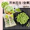 【彼娜滋】芥末花生-分享包(全素)