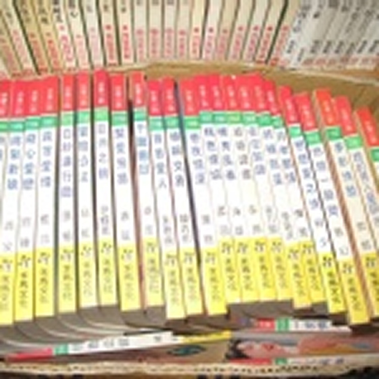 二手小說不挑書一本10元,十本80元,20本120元