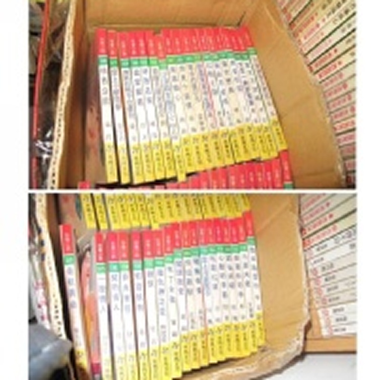 二手小說不挑書一本10元,十本80元,20本120元