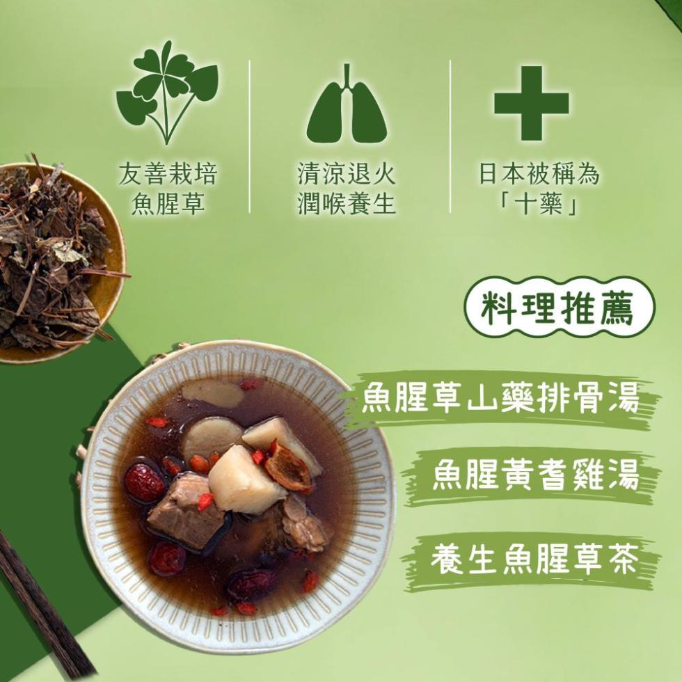 友善栽培，魚腥草，清涼退火，潤喉養生，日本被稱為，十藥料理推薦，魚腥草山藥排骨湯，魚腥黃耆雞湯，養生魚腥草茶。