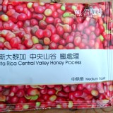 熙舍精品豆~哥斯大黎加 中央山谷 蜜處理