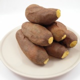 瓜瓜樂-紅蜜地瓜