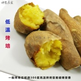 瓜瓜樂-黃金地瓜