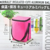 鋁膜保溫提袋~特價90元 保冷 保冰 外出 休閒 保鮮 可放母乳 冰寶 【拍賣代號:Y9878903763】