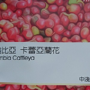 熙舍精品豆~哥倫比亞 卡蕾亞蘭花