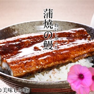 特選頂級蒲燒白鰻魚(外銷日本台灣之光)