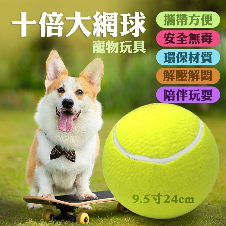 【CityStar】9.5寸充氣大網球寵物玩具球