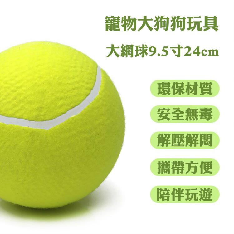 【CityStar】9.5寸充氣大網球寵物玩具球