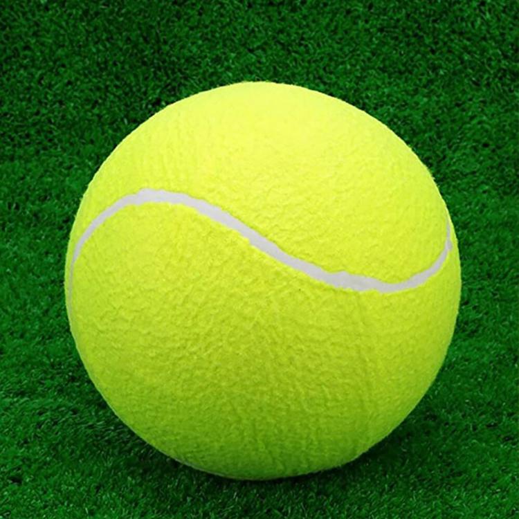 【CityStar】9.5寸充氣大網球寵物玩具球