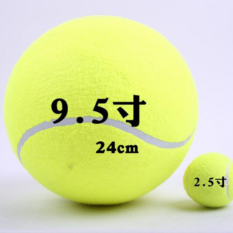 【CityStar】9.5寸充氣大網球寵物玩具球