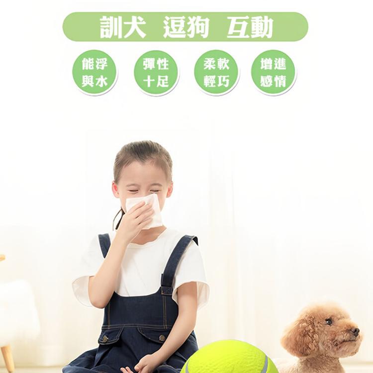 【CityStar】9.5寸充氣大網球寵物玩具球