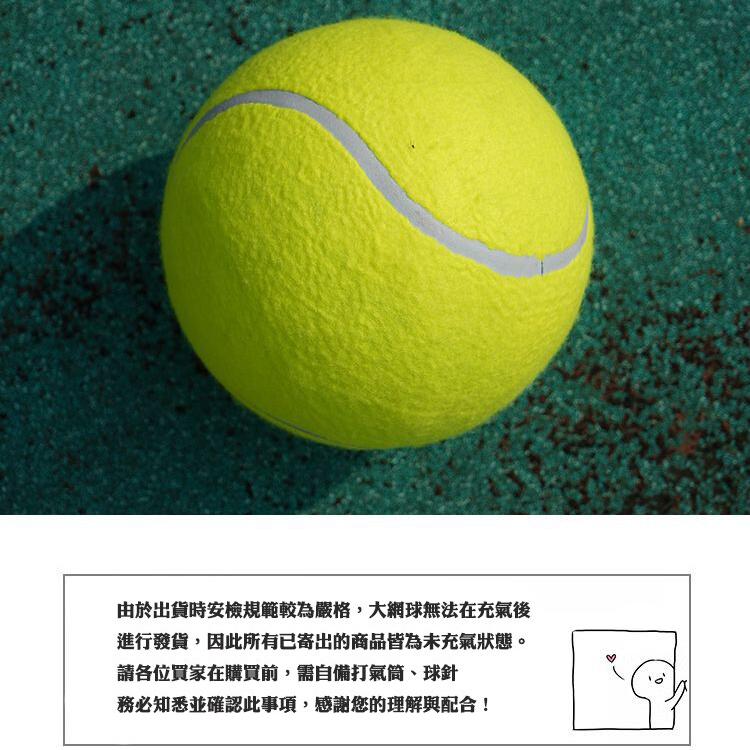 【CityStar】9.5寸充氣大網球寵物玩具球