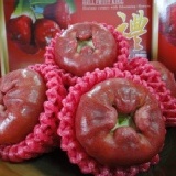 《蓮霧王》經濟環保包裝 黑珍珠 極品特A 16粒裝 當天現採 嘗鮮價